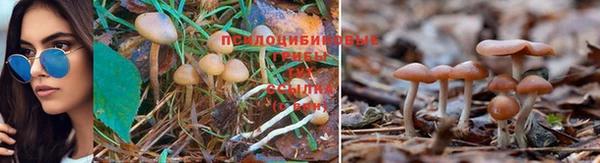 метадон Богородицк