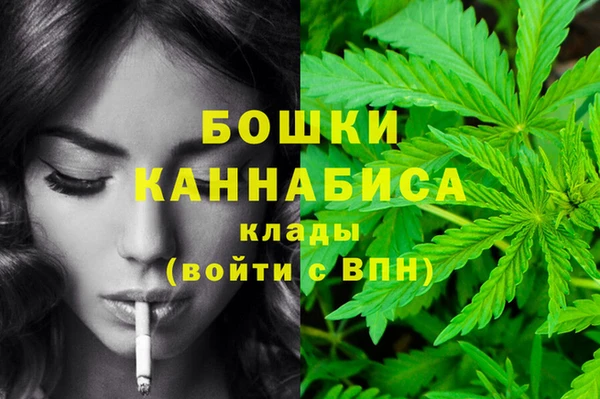 метадон Богородицк