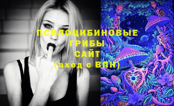 метадон Богородицк